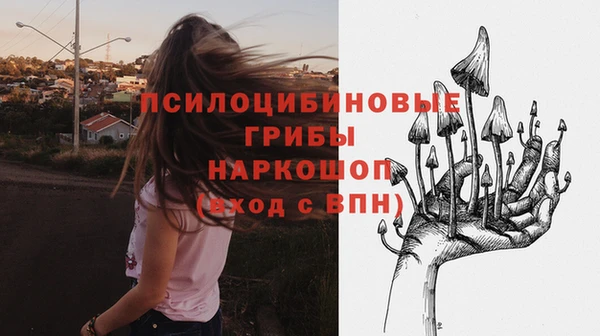 винт Алексин