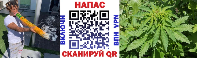 Бошки марихуана OG Kush  как найти наркотики  Новомосковск 